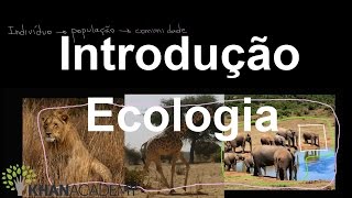 Introdução Ecologia  Ecologia  Biologia  Khan Academy [upl. by Ethelyn]