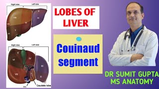 LOBES OF LIVER amp Couinaud segment [upl. by Jaquiss]