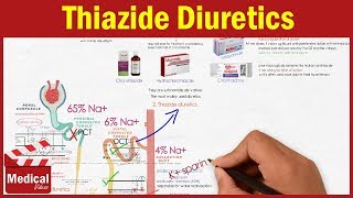 Pharmacology CVS 8 Diuretics  Thiazide Diuretics  Chlorothiazide Hydrochlorothiazide [upl. by Aaronson]