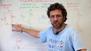 4 maneras de polarizar un transistor [upl. by Oigres198]