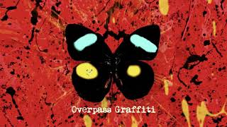 Ed Sheeran  Overpass Graffiti Acoustic [upl. by Ledeen876]