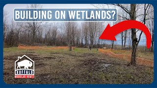 Can You Build On Wetlands [upl. by Erodroeht]