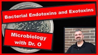 Bacterial Endotoxins and Exotoxins Microbiology [upl. by Venus438]