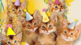 Cute Cats Sing quotHappy Birthdayquot [upl. by Ratcliff]