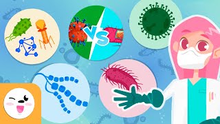 Microorganisms  Compilation Video  Bacteria Viruses and Fungi  Explanation for Kids [upl. by Griz801]