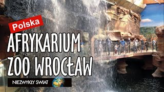 Niezwykly Swiat  Polska  Zoo Wrocław  Afrykarium [upl. by Erinn302]