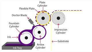 Flexographic Printing Explained [upl. by Eciened312]