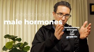 Doctor explains How to Understand Male Hormones and Fertility [upl. by Brawley903]