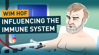 Influencing the Immune System  Wim Hof Method Science [upl. by Ysiad]