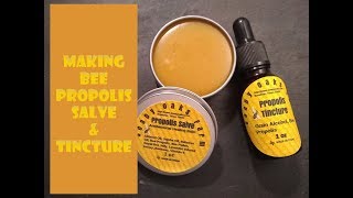 Making Bee Propolis Tincture amp Salve [upl. by Aehc174]