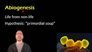 Biology Spontaneous Generation vs Biogenesis [upl. by Wattenberg]