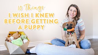 10 Things I Wish I Knew Before Getting a Puppy [upl. by Algar467]