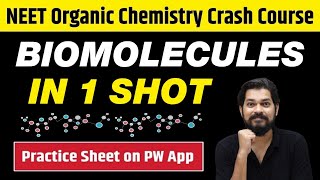 BIOMOLECULES in One Shot  All Concepts Tricks amp PYQs  Class 12  NEET [upl. by Atiuqel]