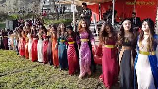 Kurdish Dance  Baile kurdo [upl. by Diskson]