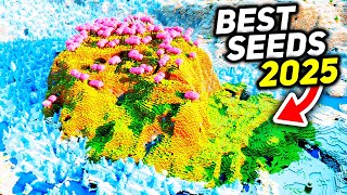 Top 25 Minecraft Seeds YOU NEED TO TRY In 2025 [upl. by Seravart]