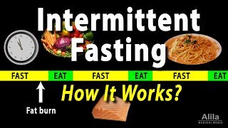 Intermittent Fasting  How it Works Animation [upl. by Nadaha]