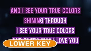 True Colors Karaoke Lower Key  Cyndi Lauper [upl. by Kippar]