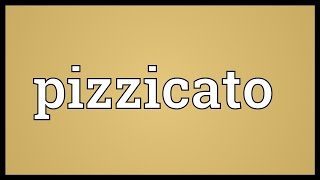 Pizzicato Meaning [upl. by Tabib]