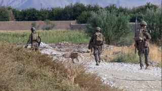 US Marines In Sangin Afghanistan [upl. by Alletsyrc]