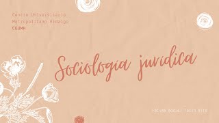 Sociología jurídica [upl. by Ahsilla]