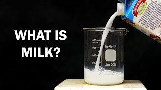 What is Milk made of [upl. by Sumner663]