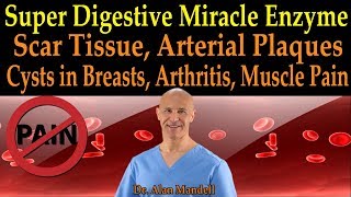 Super Miracle Enzyme for Scar Tissue Arterial Plaque Breast Cyst Painful Joints  Dr Mandell DC [upl. by Ayekam946]