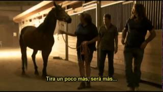 El Domador De Caballos · Jack Forest Holy y Mr Mum [upl. by Gnouhk]