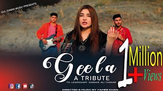 Geela  Pashto Song  Gul Panra New OFFICIAL Pashto Song Geela [upl. by Garey]