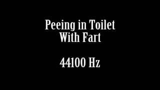 Human Sounds Man Peeing Urinating in Toilet With Fart Sound Effect Free High Quality Sound FX [upl. by Hackett]