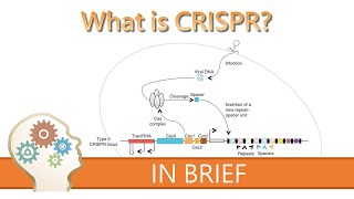 CRISPR technology for genome editing [upl. by Colly]