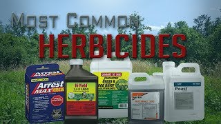 Five Most Common Food Plot Herbicides [upl. by Geraldina]