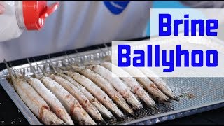 How to Prep Ballyhoo  How to Brine Baits [upl. by Noiek]