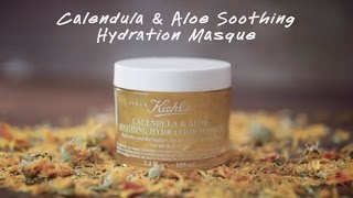 How to Apply Kiehls Calendula amp Aloe Soothing Hydration Mask [upl. by Shalom]