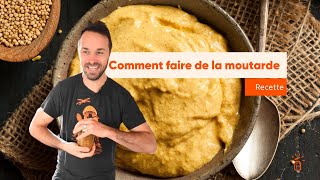 Recette de moutarde fermentée [upl. by Enamrahs236]