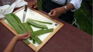 How to make Aloe Vera gel [upl. by Selmore111]