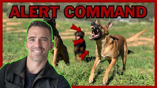 How to Train Your Dog to Alert on Command [upl. by Kyte747]