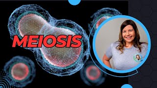 Meiosis with Mitosis Comparison [upl. by Hogle]