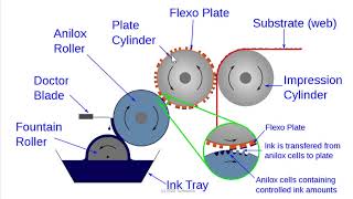 Flexography  Basic Introduction [upl. by Nosyerg]