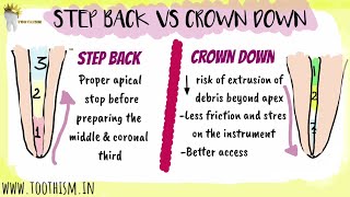 ENDODONTICS  STEP BACK VS CROWN DOWN TECHNIQUE  Biomechanical preparation [upl. by Adaiha663]