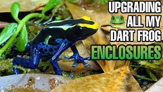 Upgrading ALL of my Poison Dart Frog Vivariums  Exo Terra Frogs amp Co [upl. by Raquel]