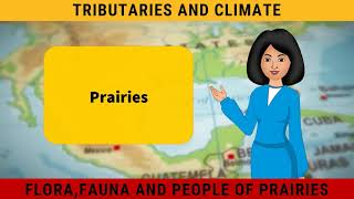 The Prairies  Life in the Temperate Grasslands  Geography Class 7 Chapter 9 [upl. by Ardnekat]