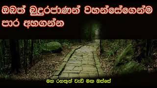 බුදුරජාණන් වහන්සේගෙන්ම පාර අහගන්නMaha Rahathun Wedi Maga Osse [upl. by Olen]