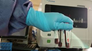 Hematology Performing and Interpreting QC on the Sysmex XN550 Automated CBC Analyzer [upl. by Hctub825]