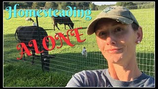 Homesteading ALONE [upl. by Rehteh]