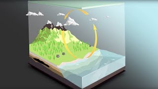 The carbon cycle [upl. by September]