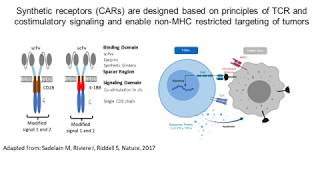 CAR Tcell therapy Reprogramming the immune system to treat cancer  Rob Weinkove  TEDxTauranga [upl. by Egidius]