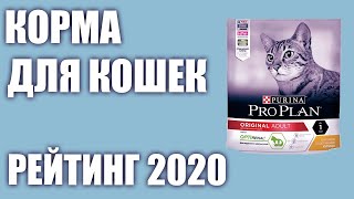 ТОП—7 Лучшие корма для кошек сухие и влажные Рейтинг 2020 года [upl. by Yoko]