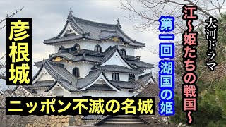 ニッポン不滅の名城「彦根城」 西の丸三重櫓！城マスター・千田嘉博先生が彦根城の“謎”を徹底解明！絶対行きたくなる！江～姫たちの戦国～ 青天を衝け 井伊直弼 岸谷五朗 ひこにゃん NHK 大河ドラマ [upl. by Aiksa655]