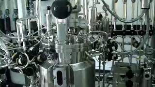 Working of a Fermentor  Bioreactor [upl. by Buine678]