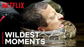 Bear’s WILDest Moments 🤯 Animals on the Loose A You vs Wild Movie  Netflix After School [upl. by Nnyllatsyrc]